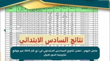 عاجل اليوم.. إعلان نتائج السادس الابتدائي في ذي قار 2025 عبر موقع نتائجنا الدور الأول